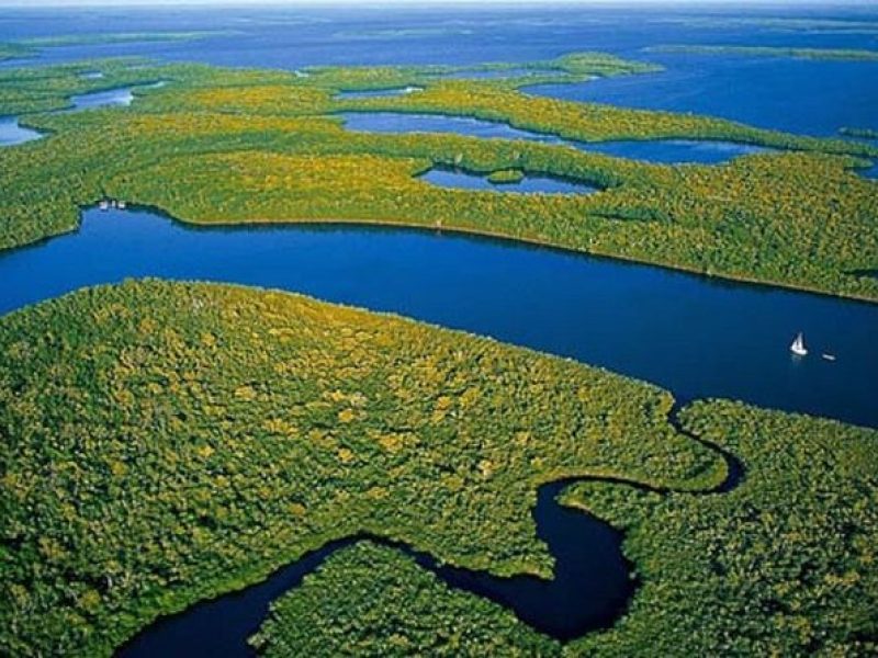 Private 4-Hour Exciting Everglades Tour