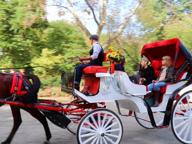 NYC Central Park Horse Carriage Ride (Up to 4 Adults)