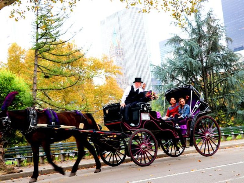 Central Park Horse Carriage Ride Short Loop (Up to 4 Adults))