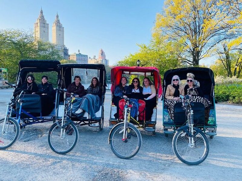 New York City: Guided Private Pedicab Tour in Central Park