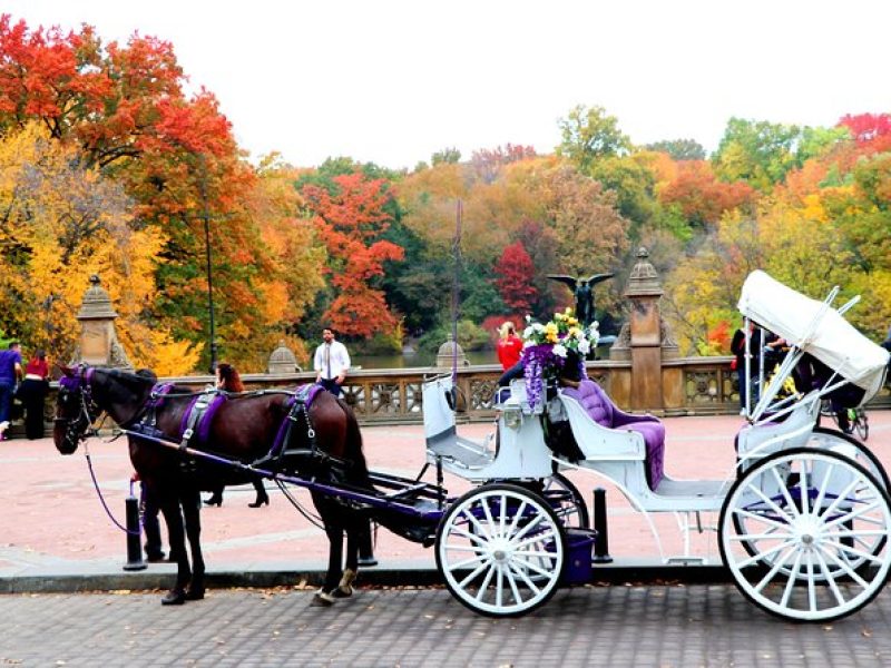 VIP Horse Carriage Ride through Central Park (Up to 4 Adults)