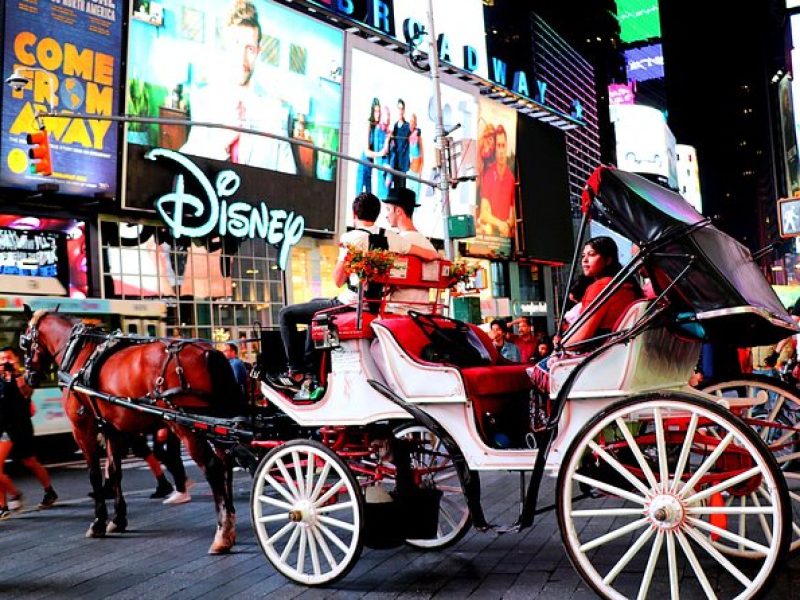 Central Park, Rockefeller & Times Square Carriage Ride (4 Adults)