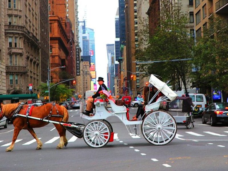 NYC Horse Carriage Ride in Central Park (50 Min. Up to 4 Adults)