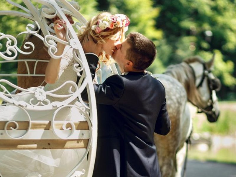 Romantic/Proposal Central Park Carriage Tour (Up to 4 Adults)