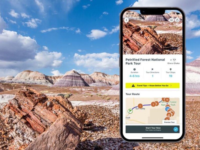 Petrified Forest National Park Self Guided Driving Tour