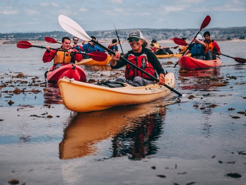 Monterey Bay Full-Day Kayak Rental: Otters, Seals and Sea Lions