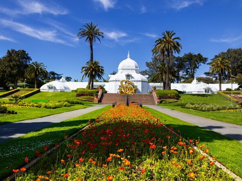 California Academy of Sciences Ticket With Golden Gate Park Tour