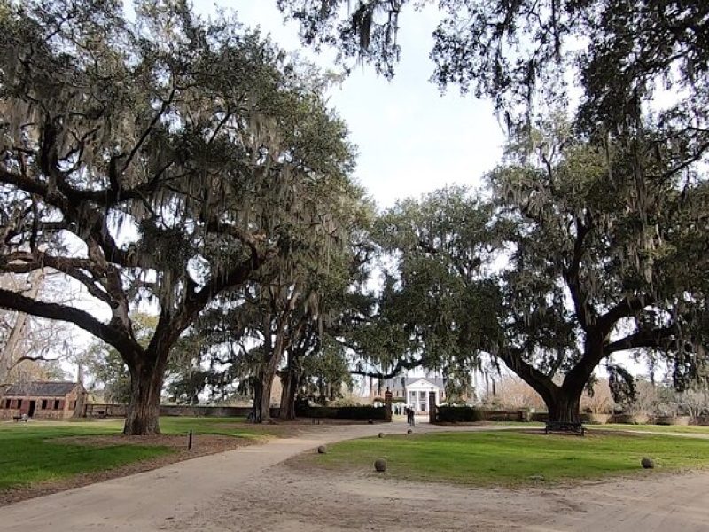 Day Trips to Charleston#7 See Ft Sumter,CarriageTour,Lunch & more