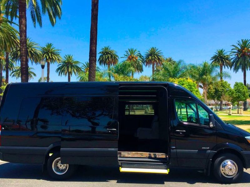 Private Road to Hana or any Maui destination in Luxury Mercedes Sprinter