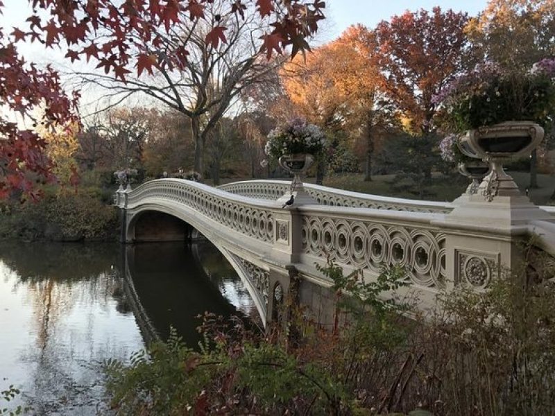 Self-Guided Scavenger Hunt: New York City Central Park Adventure