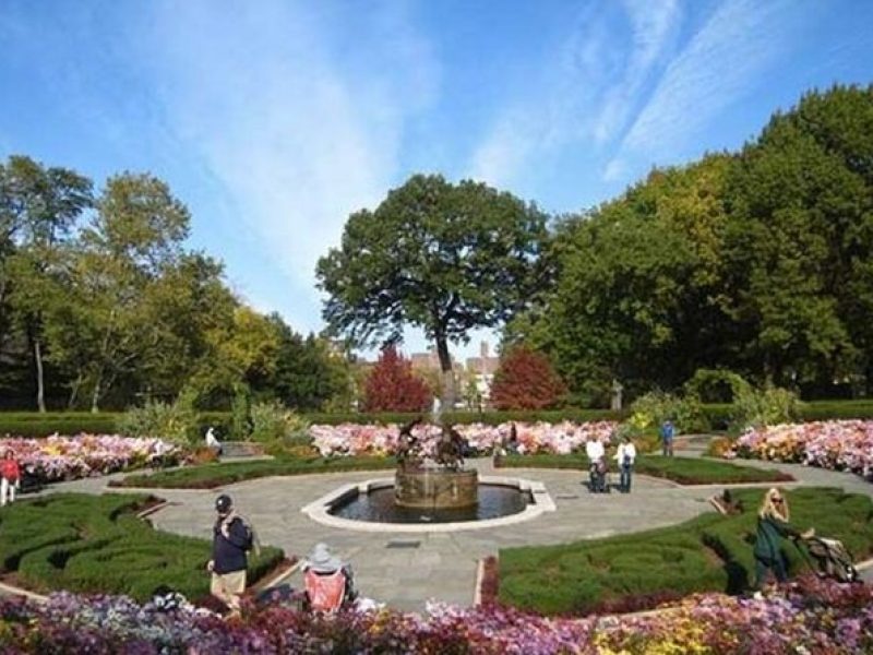 Guided Walking Tour to New York City Central Park