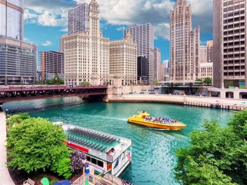 Chicago : Custom Walking Tour with A Guide ( Private Tour )