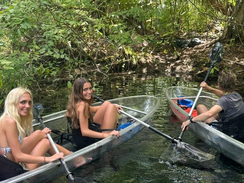 Gator Viewing Clear Kayak Springs Tour