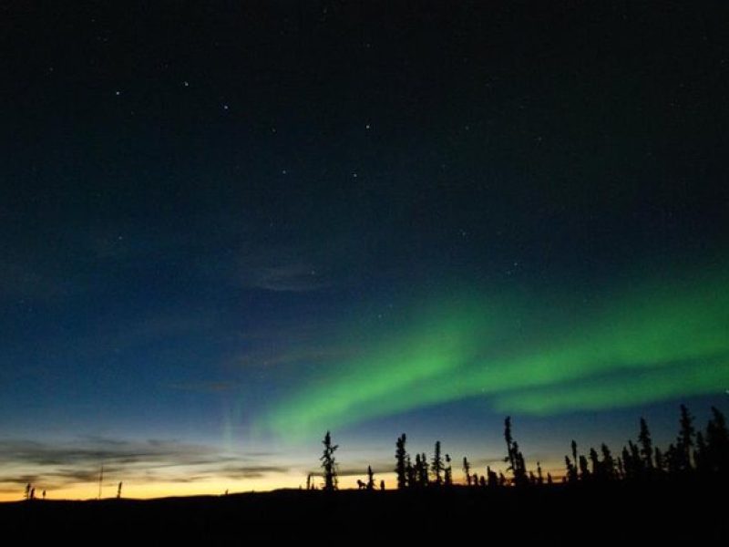 Northern Lights Experience and Cabin Dinner