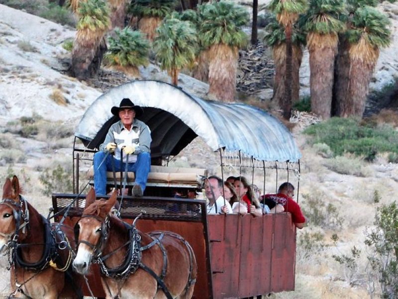 Covered Wagon Adventure & BBQ