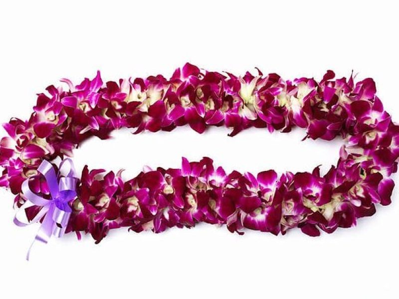 Deluxe Orchid Lei Greeting (Maui, Kahului Airport, OGG)