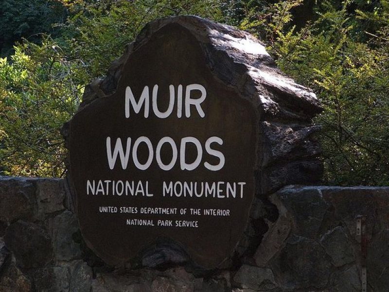 Muir Woods, Sausalito and Tiburon Day Trip from San Francisco