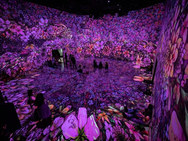 ARTECHOUSE DC Immersive Art Experience with Reserved Entry Time