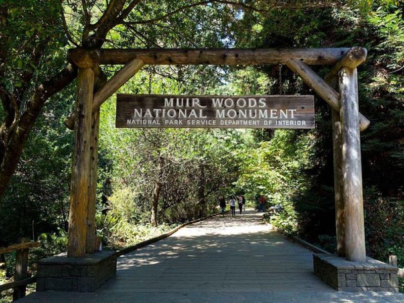 Muir Woods, Sausalito and San Francisco City Combo Private Tour