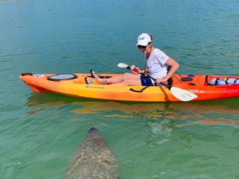 Sarasota Guided Mangrove Tunnel Kayak Tour