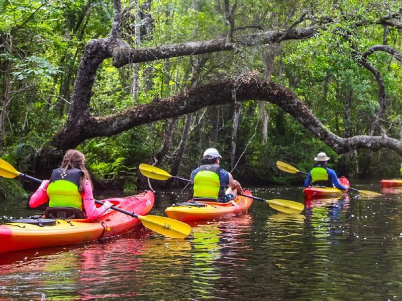 Amelia Island Guided Kayak Tour of Lofton Creek