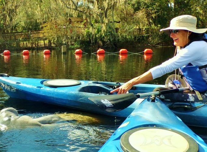 Manatee Tours Blue Springs Orlando