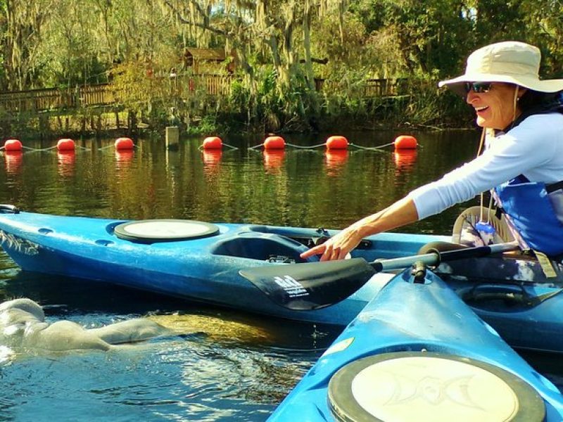 Manatee Tours Blue Springs Orlando