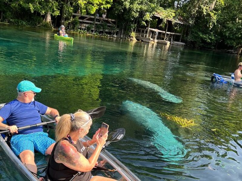 Silver Springs Clear Kayak Wildlife Experience