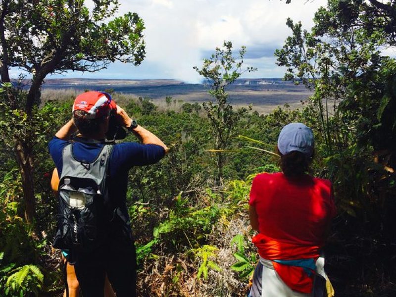 Private Tour: Hawaii Volcanoes National Park Eco Tour