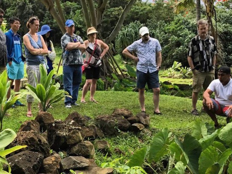 Secret Oahu Hawaii Culture Tour With A Local Guide