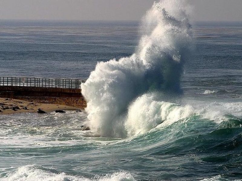 A Local’s Guide to La Jolla’s Sights: A Self-Guided Urban Stroll