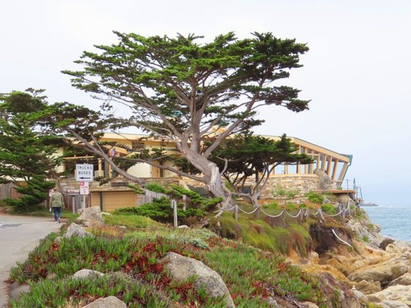 Carmel Point: A Self-Guided Audio Tour