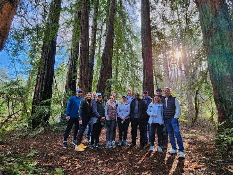 Napa Valley Redwood Hike