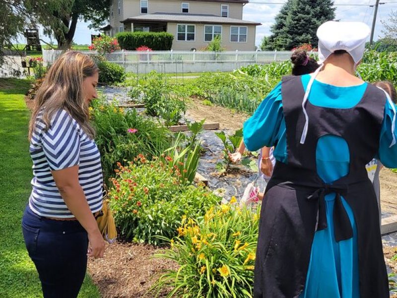 Unique Amish Immersion in Lancaster