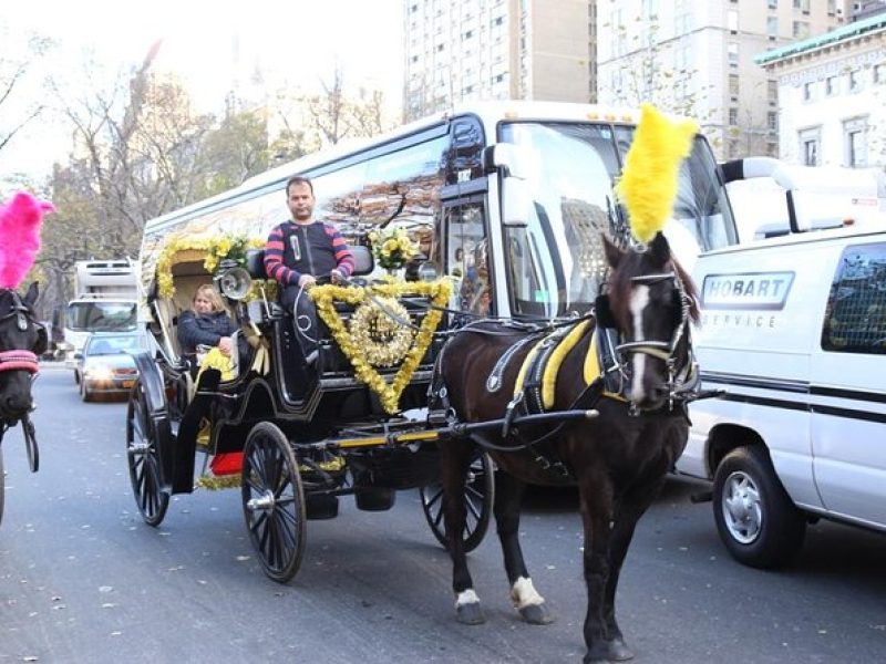 Central Park Private Horse Carriage Tour in NYC