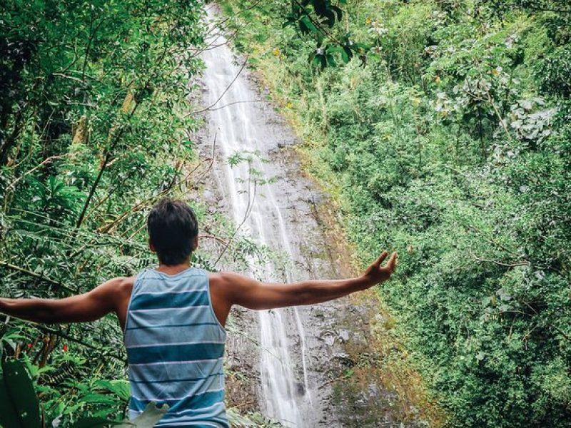 Manoa Waterfall Hike From Waikiki With Healthy Lunch Included