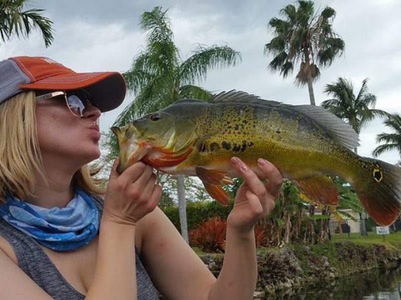 Peacock Bass Fishing Trip in Boynton Beach