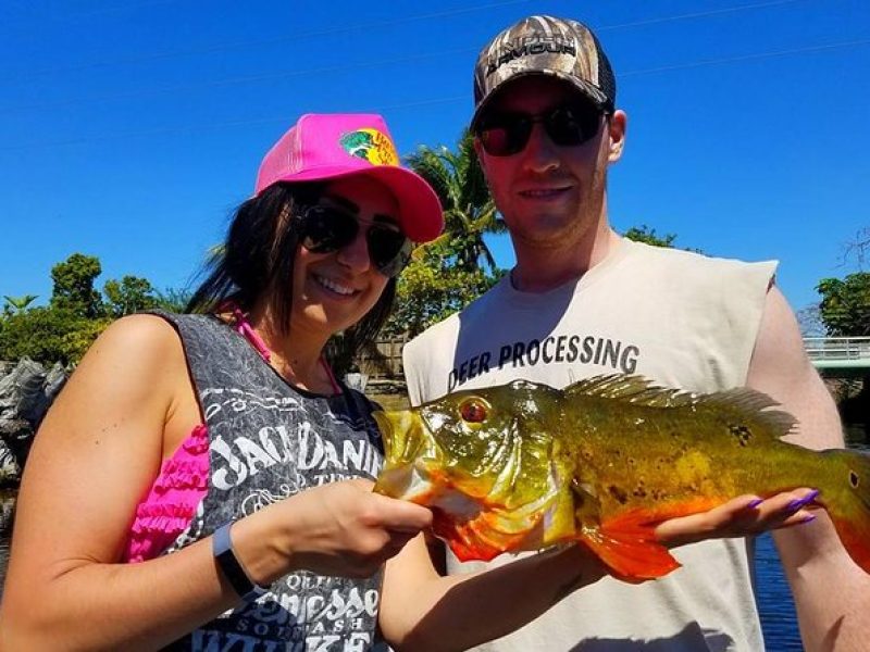 All Day Peacock Bass Fishing Trip near Key Largo