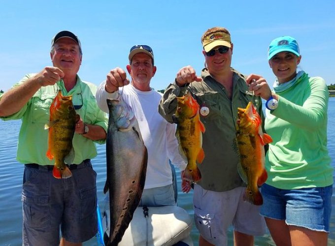 Peacock Bass Fishing Trips near Boca Raton