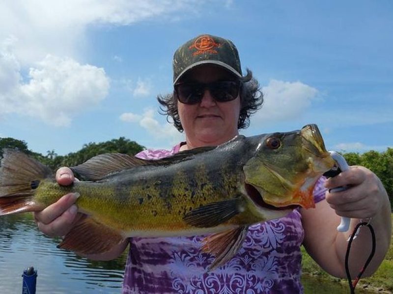 8 Hour Peacock Bass Fishing Trip Near Palm Beach