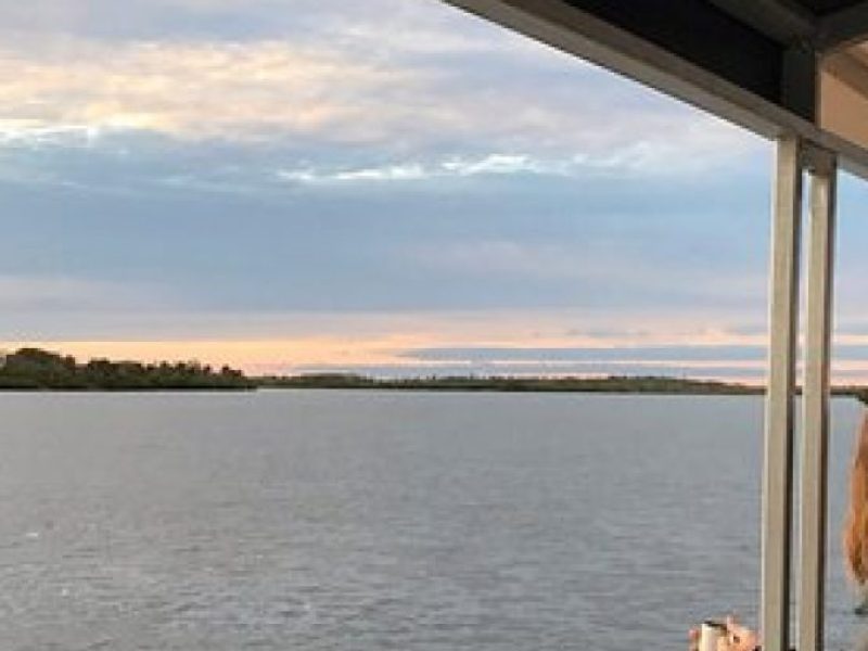 Wildlife Tour of Indian River Lagoon with Experienced Captain