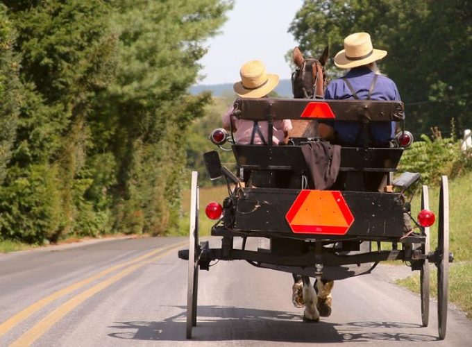 Premium Amish Country Tour including Amish Farm and House