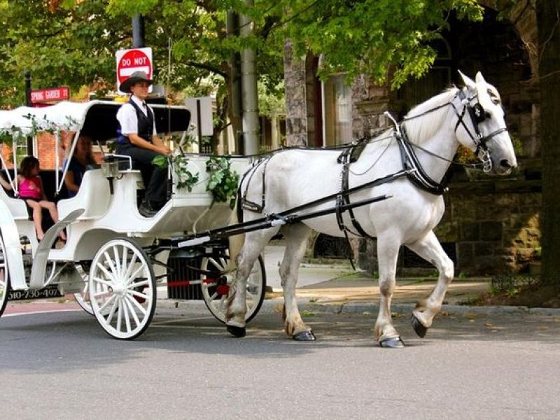 Carriage Ride in Central Park (VIP – PRIVATE) Since 1964™