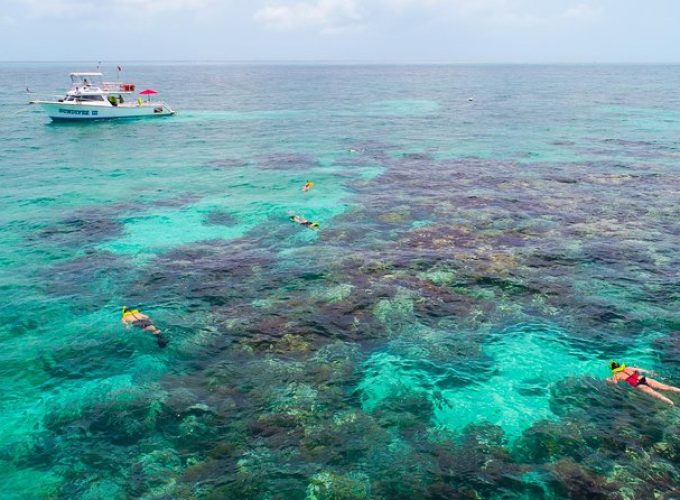 Key Largo Snorkeling Tour – rental mask, fins and vest INCLUDED