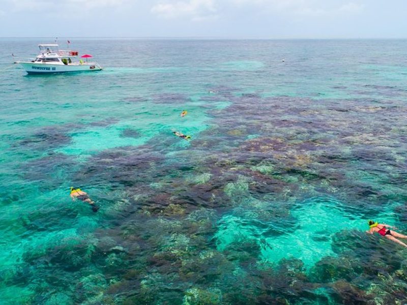 Key Largo Snorkeling Tour – rental mask, fins and vest INCLUDED