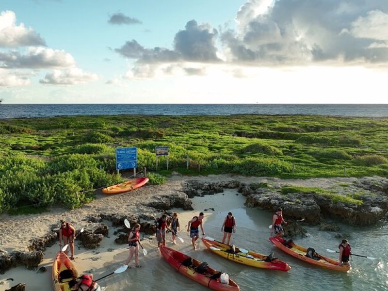 Discover Popoia Island and Kailua Bay by Kayak Guided Tour