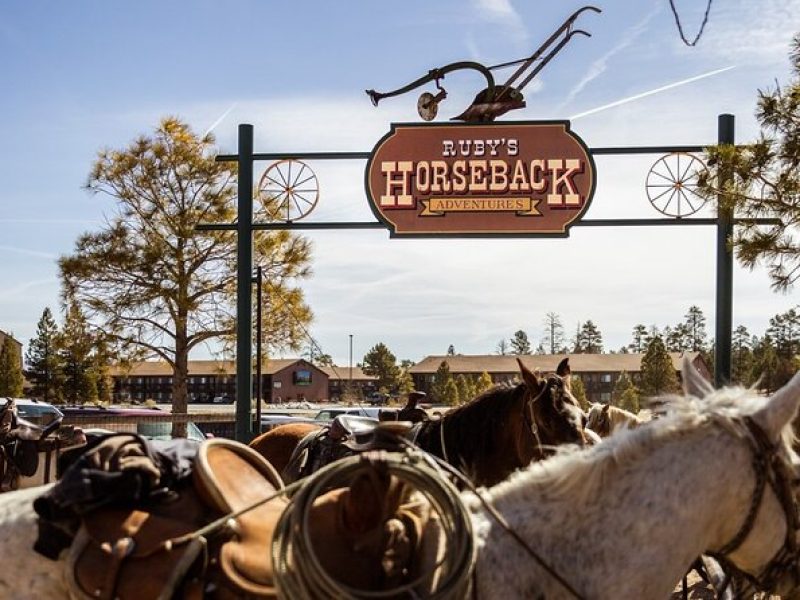 Ruby's Horseback Adventures Utah 1.5 Hour Ride