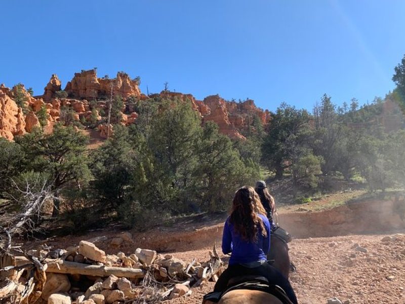 Ruby's Horseback Adventures Utah Half Day Ride