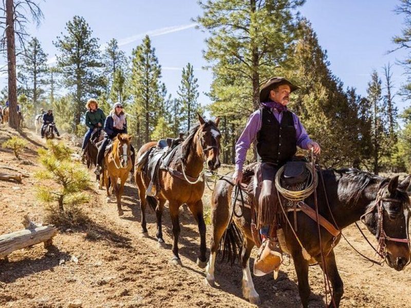 Ruby's Horseback Adventures Utah Thunder Mt. 4 Hour Ride