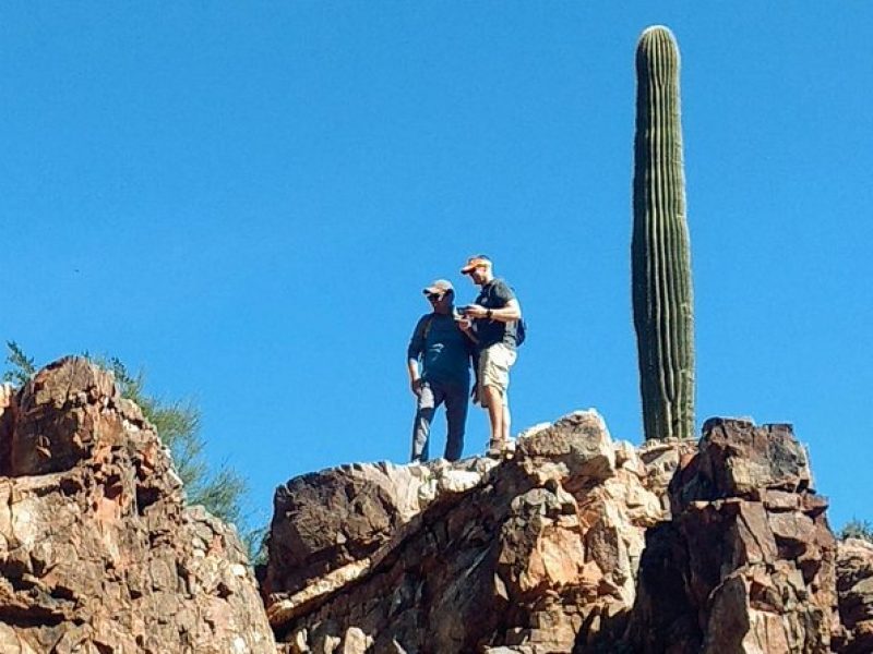 Sonoran Desert 1/2 private group Day Hike casual to challenging